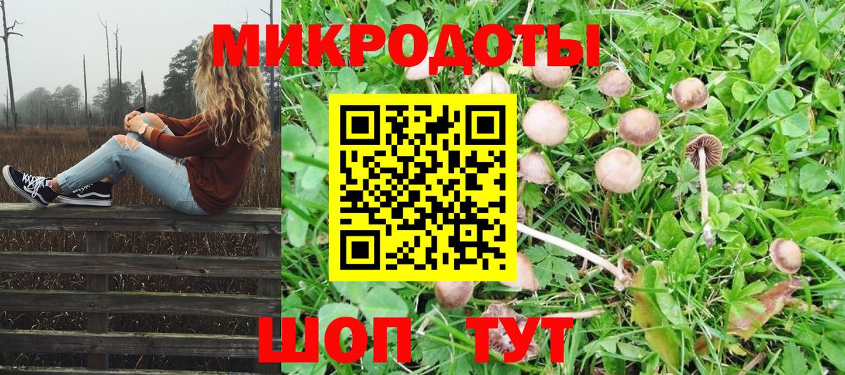 Галлюциногенные грибы MAGIC MUSHROOMS  Псилоцибиновые грибы Magic Shrooms  Киржач  Вход с VPN 